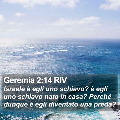 Geremia 2:14 RIV Bible Verse Image