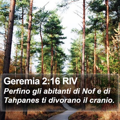 Geremia 2:16 RIV Bible Verse Image