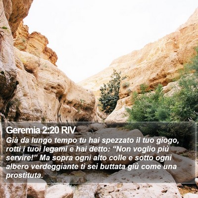 Geremia 2:20 RIV Bible Verse Image