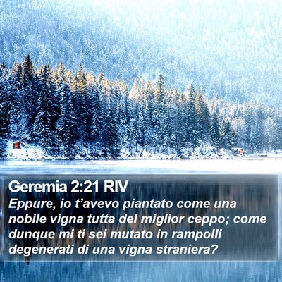 Geremia 2:21 RIV Bible Verse Image