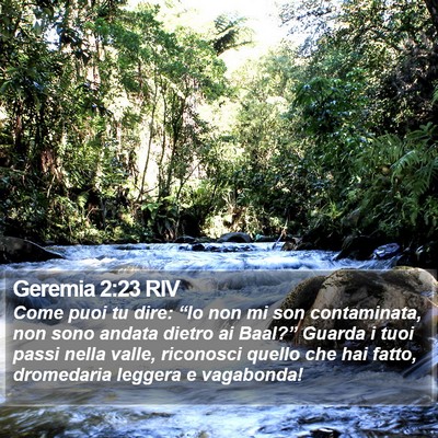 Geremia 2:23 RIV Bible Verse Image