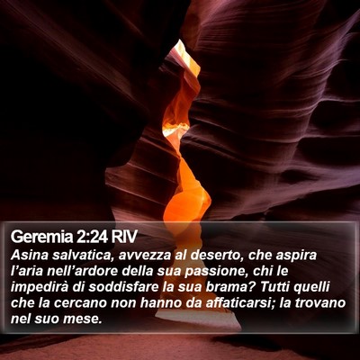 Geremia 2:24 RIV Bible Verse Image