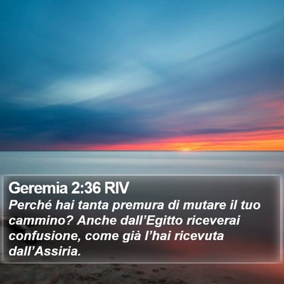 Geremia 2:36 RIV Bible Verse Image