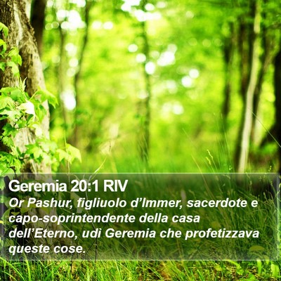 Geremia 20:1 RIV Bible Verse Image