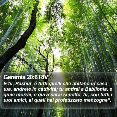 Geremia 20:6 RIV Bible Verse Image
