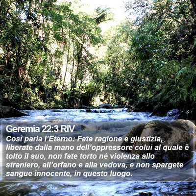 Geremia 22:3 RIV Bible Verse Image