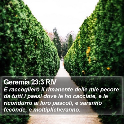 Geremia 23:3 RIV Bible Verse Image