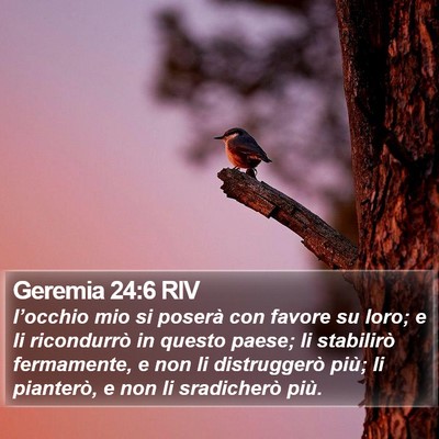 Geremia 24:6 RIV Bible Verse Image