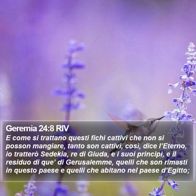 Geremia 24:8 RIV Bible Verse Image