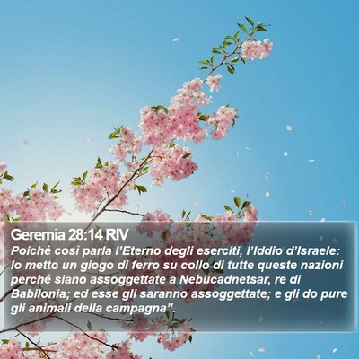 Geremia 28:14 RIV Bible Verse Image
