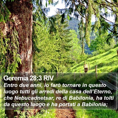 Geremia 28:3 RIV Bible Verse Image