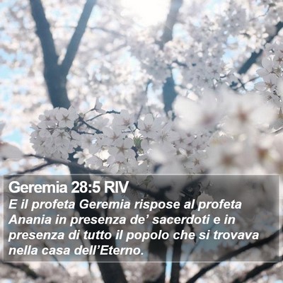 Geremia 28:5 RIV Bible Verse Image