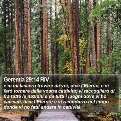 Geremia 29:14 RIV Bible Verse Image