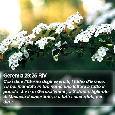 Geremia 29:25 RIV Bible Verse Image