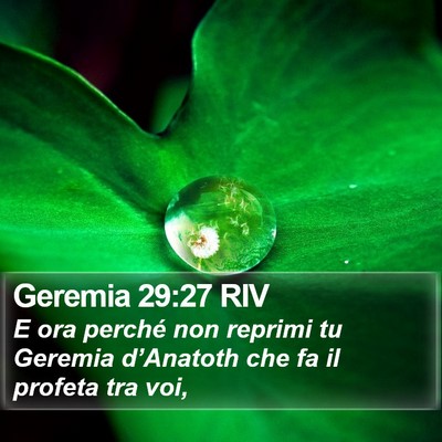 Geremia 29:27 RIV Bible Verse Image