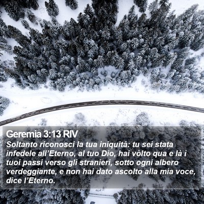 Geremia 3:13 RIV Bible Verse Image