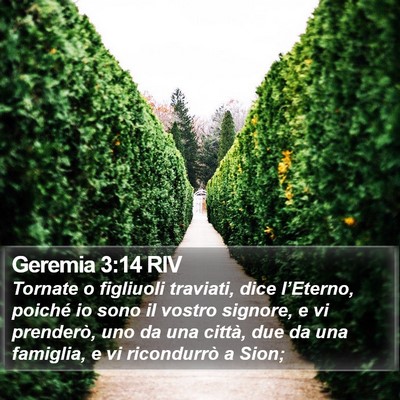 Geremia 3:14 RIV Bible Verse Image