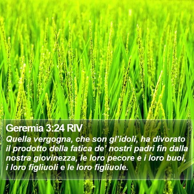 Geremia 3:24 RIV Bible Verse Image