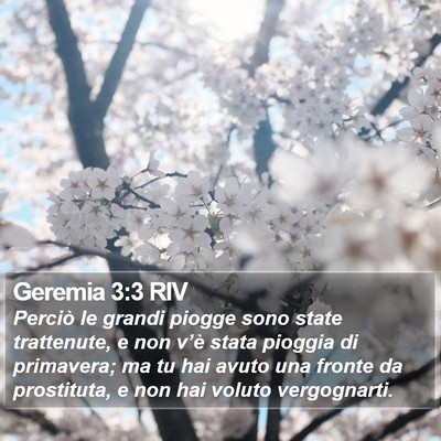 Geremia 3:3 RIV Bible Verse Image