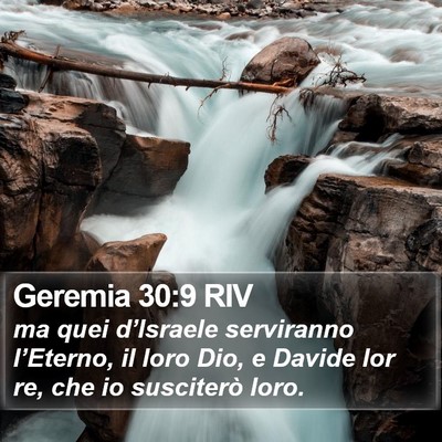 Geremia 30:9 RIV Bible Verse Image