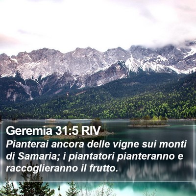 Geremia 31:5 RIV Bible Verse Image