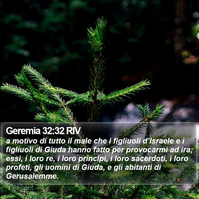 Geremia 32:32 RIV Bible Verse Image