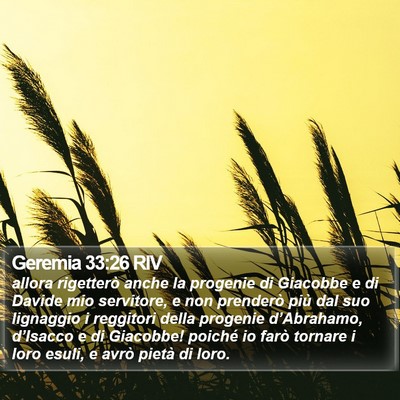 Geremia 33:26 RIV Bible Verse Image