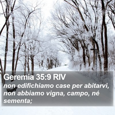Geremia 35:9 RIV Bible Verse Image
