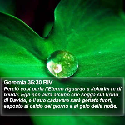 Geremia 36:30 RIV Bible Verse Image