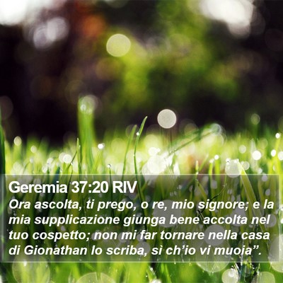 Geremia 37:20 RIV Bible Verse Image