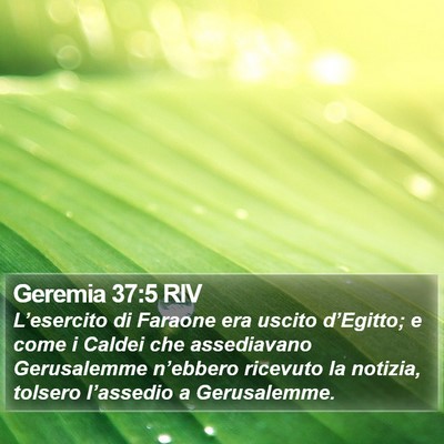 Geremia 37:5 RIV Bible Verse Image