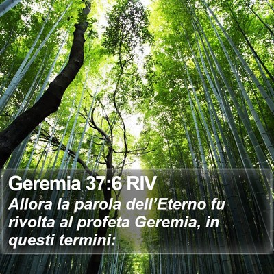 Geremia 37:6 RIV Bible Verse Image