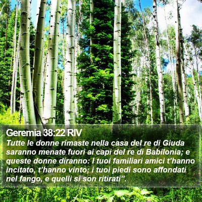 Geremia 38:22 RIV Bible Verse Image