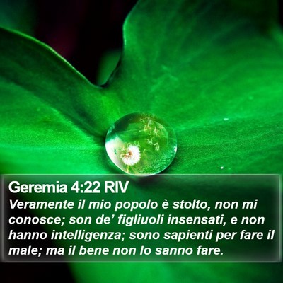 Geremia 4:22 RIV Bible Verse Image