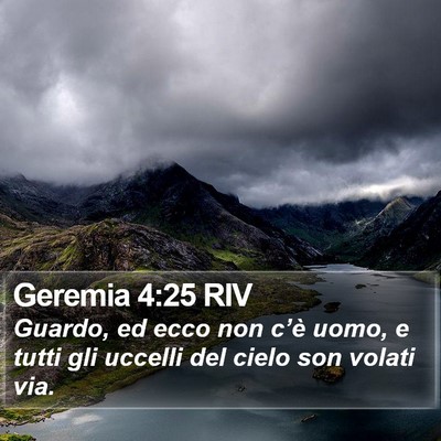 Geremia 4:25 RIV Bible Verse Image