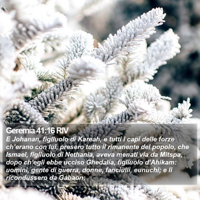 Geremia 41:16 RIV Bible Verse Image