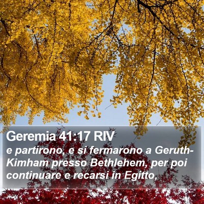 Geremia 41:17 RIV Bible Verse Image