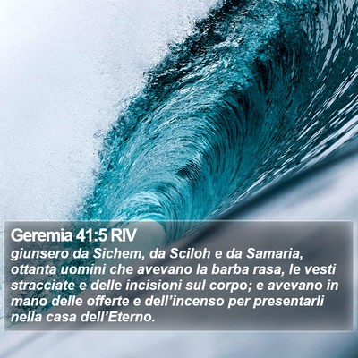 Geremia 41:5 RIV Bible Verse Image