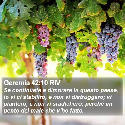 Geremia 42:10 RIV Bible Verse Image