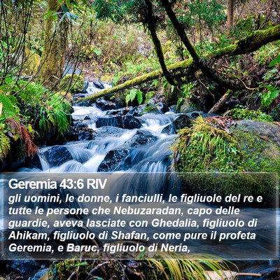 Geremia 43:6 RIV Bible Verse Image