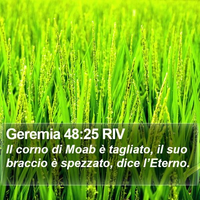 Geremia 48:25 RIV Bible Verse Image