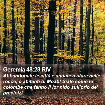Geremia 48:28 RIV Bible Verse Image