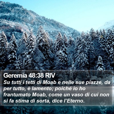 Geremia 48:38 RIV Bible Verse Image