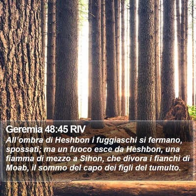 Geremia 48:45 RIV Bible Verse Image