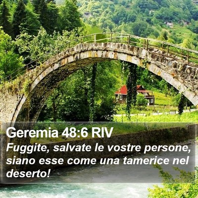 Geremia 48:6 RIV Bible Verse Image