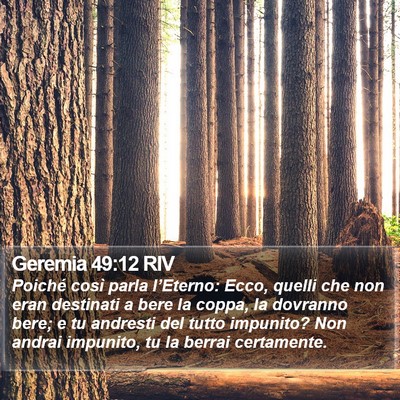 Geremia 49:12 RIV Bible Verse Image
