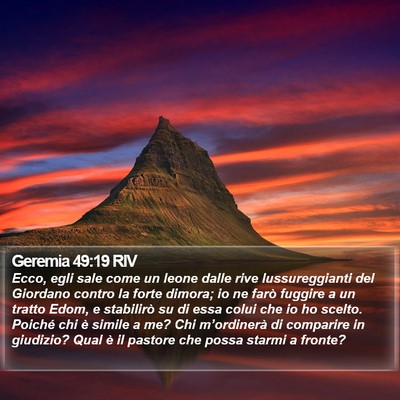 Geremia 49:19 RIV Bible Verse Image