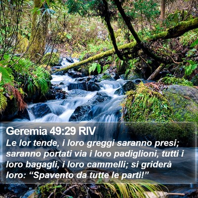 Geremia 49:29 RIV Bible Verse Image