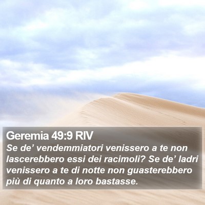 Geremia 49:9 RIV Bible Verse Image