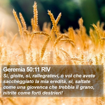 Geremia 50:11 RIV Bible Verse Image